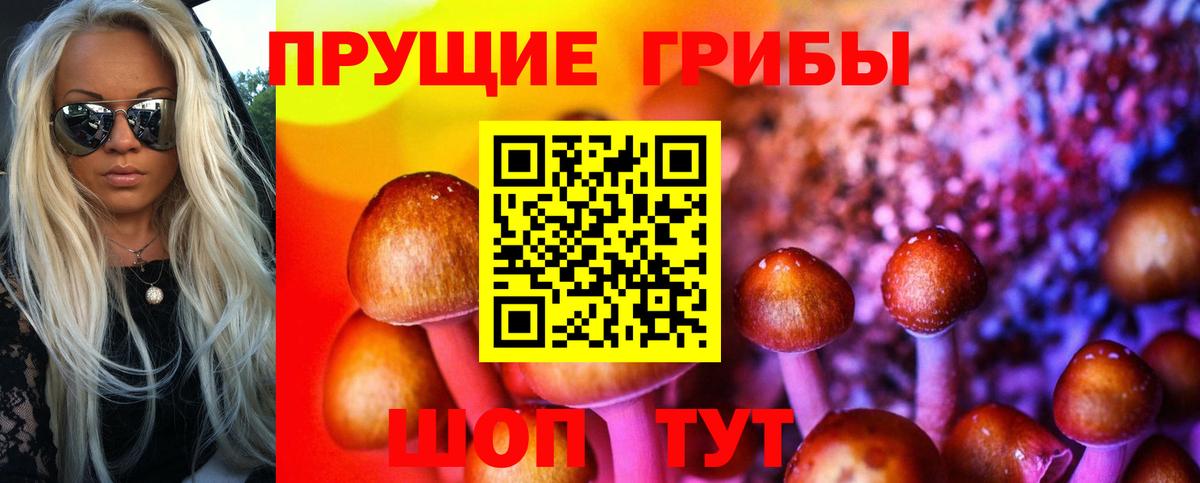 Щёкино  Псилоцибиновые грибы MAGIC MUSHROOMS  Псилоцибиновые грибы Psilocybine cubensis  Вход с VPN 
